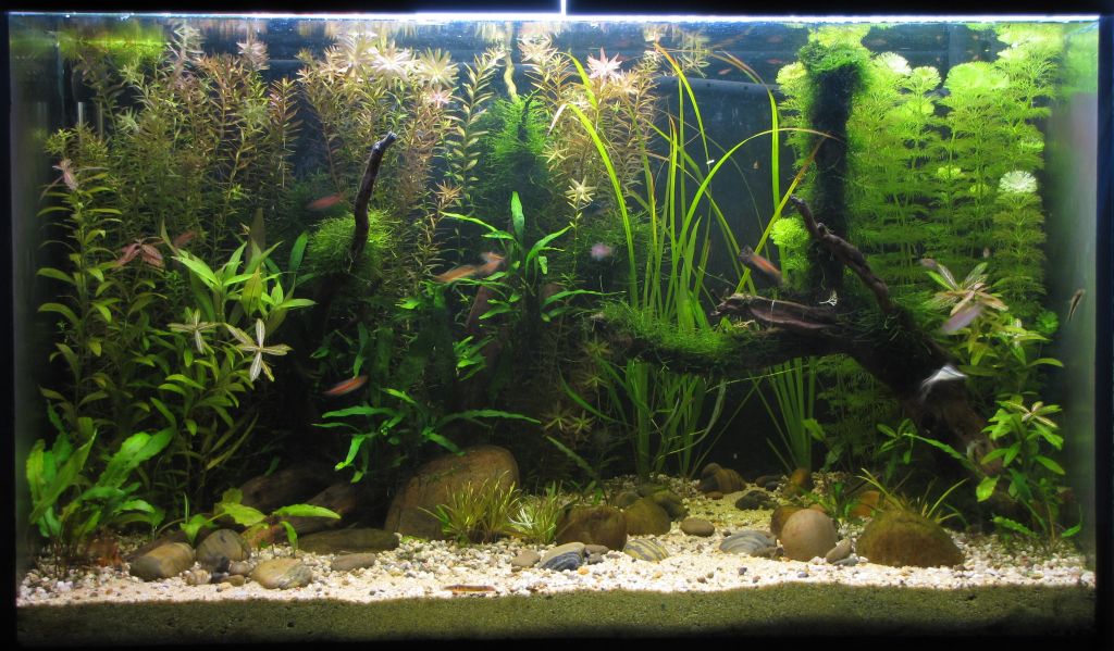 Тайланд - 3 месеца