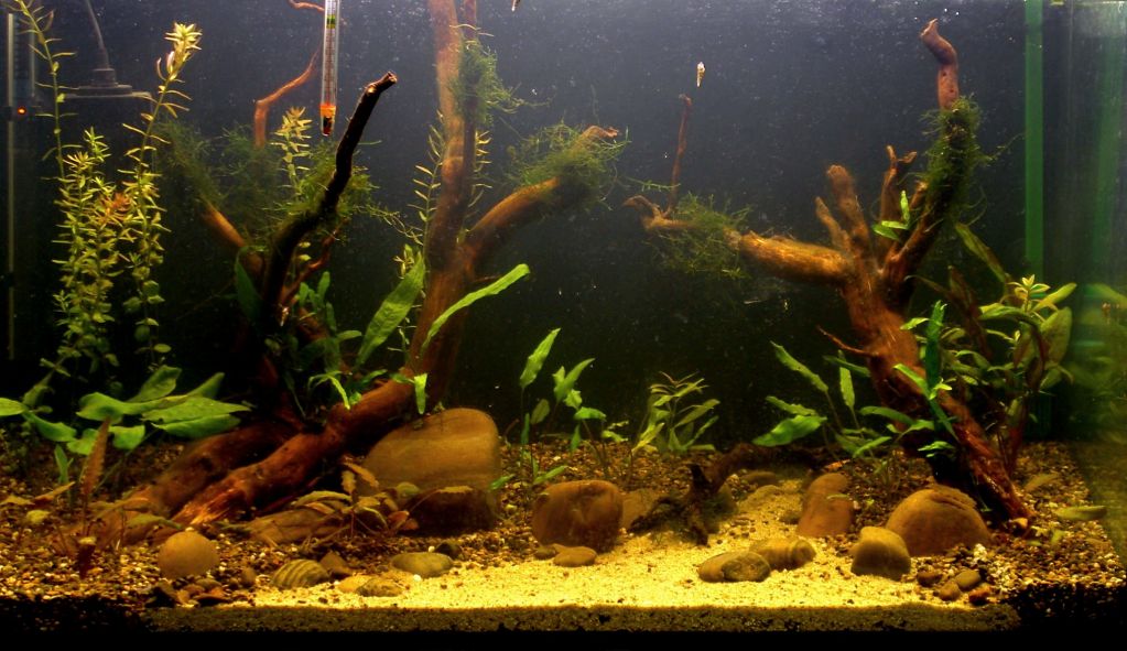 Тайланд - Ден 18