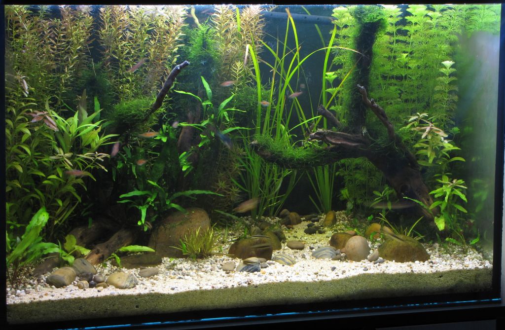 Тайланд - 3 месеца, диагонал