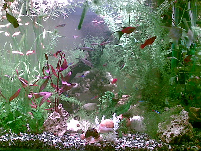 начинаещ сьм дайте мнение !!!