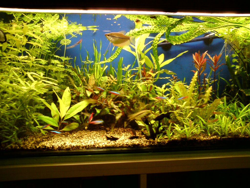 Любимото ми място в къщи