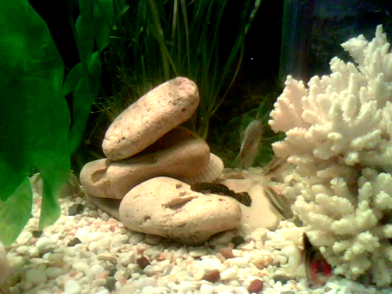 181009 1918(001) copy