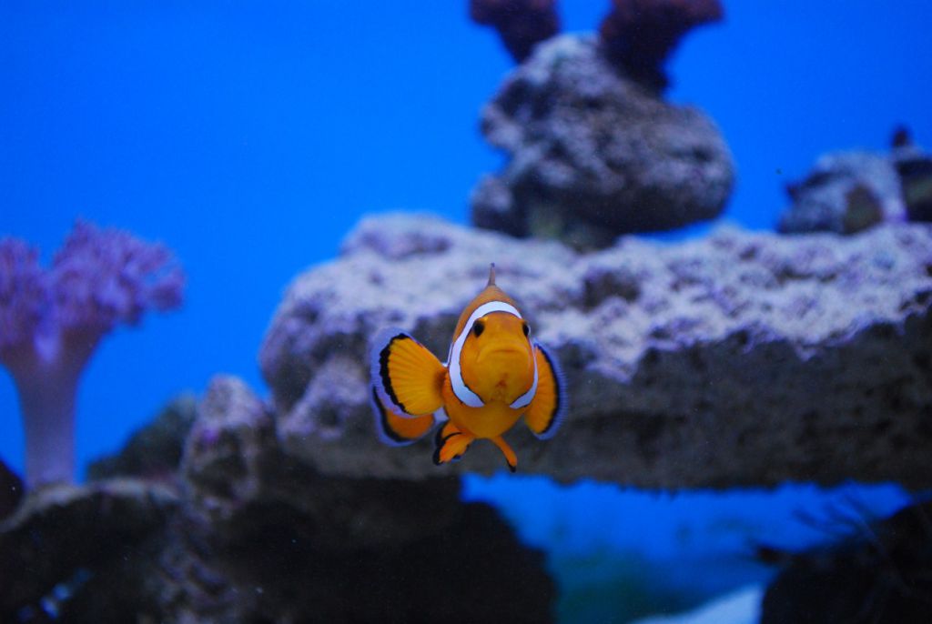 DSC 2488 (1277 x 855)