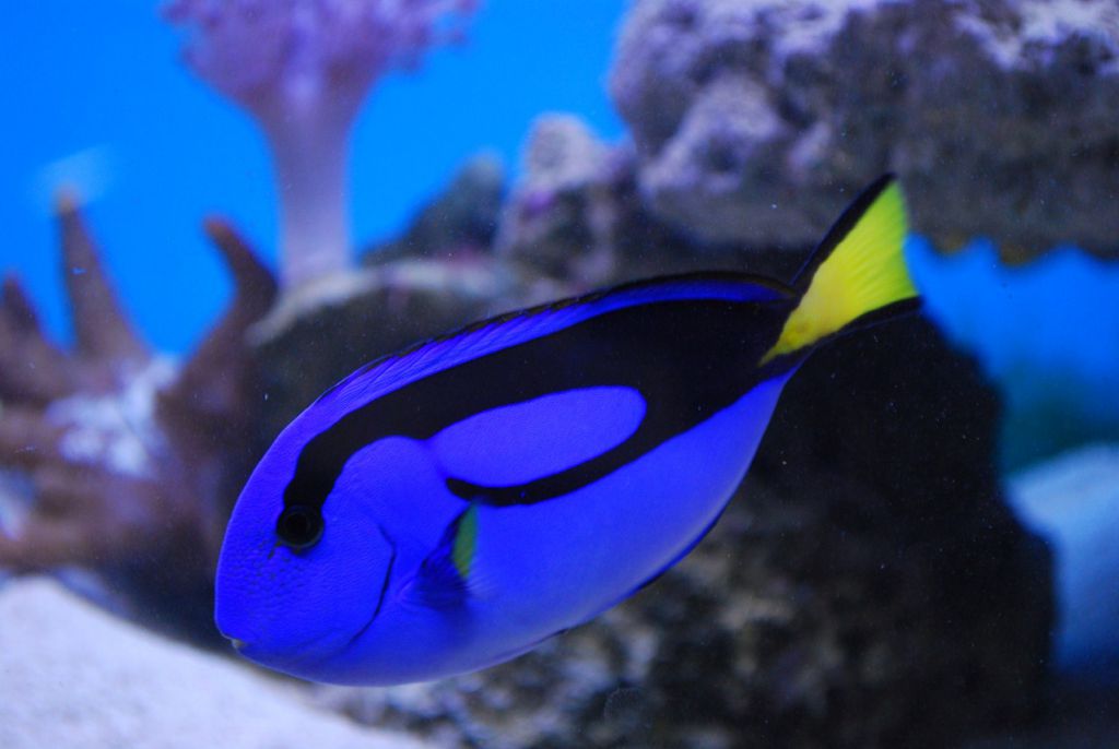 DSC 2494 (1277 x 855)