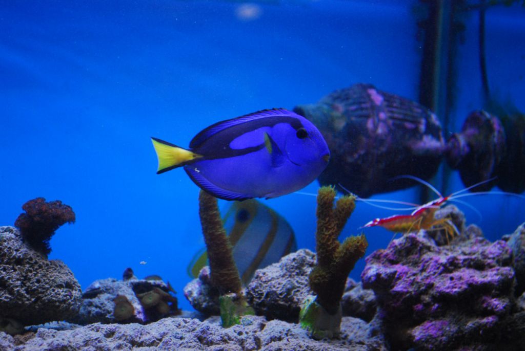 DSC 2511 (1277 x 855)