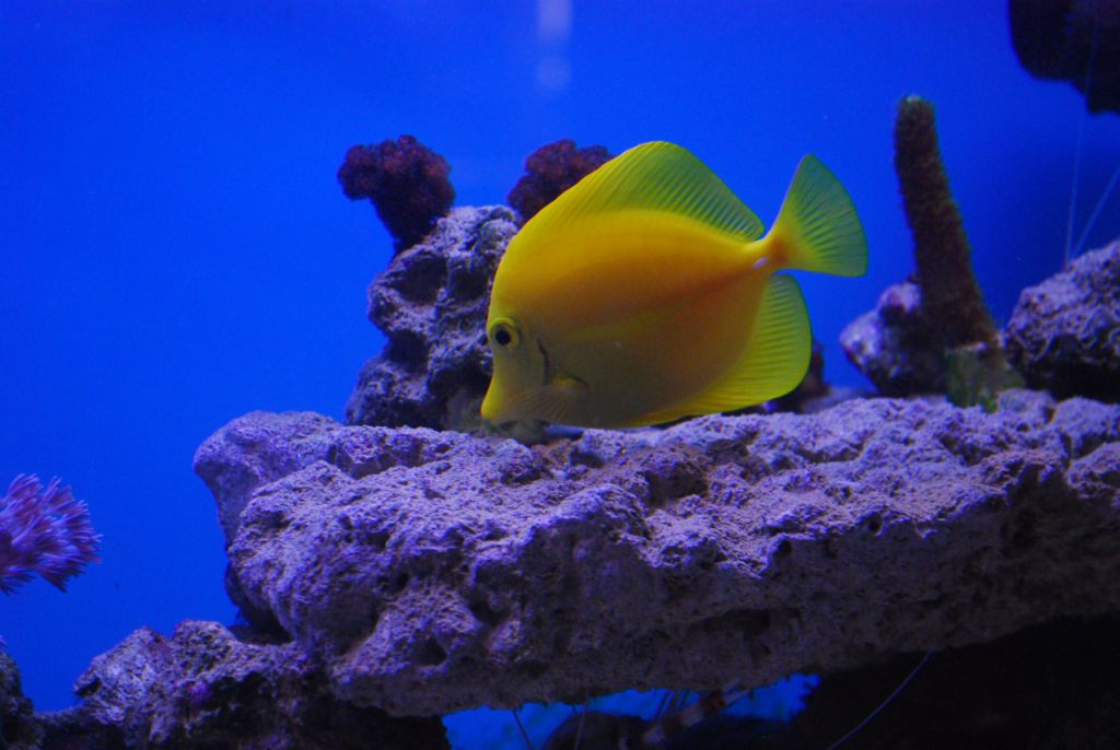 DSC 2519 (1277 x 855)