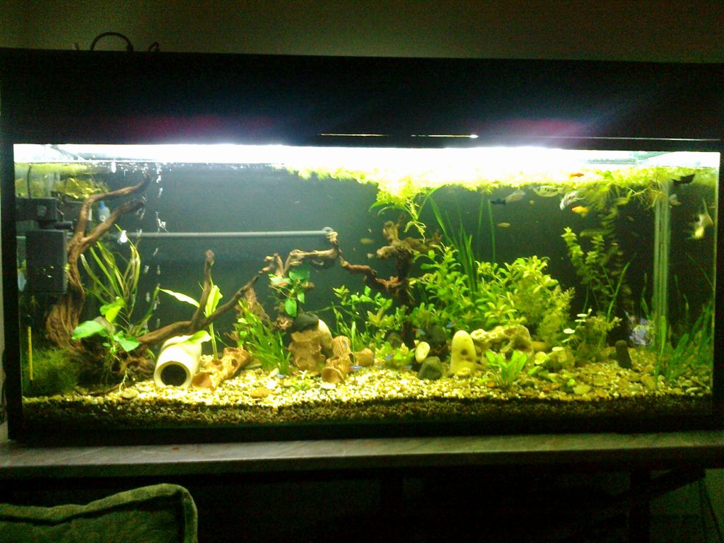 аквариумът-360л.