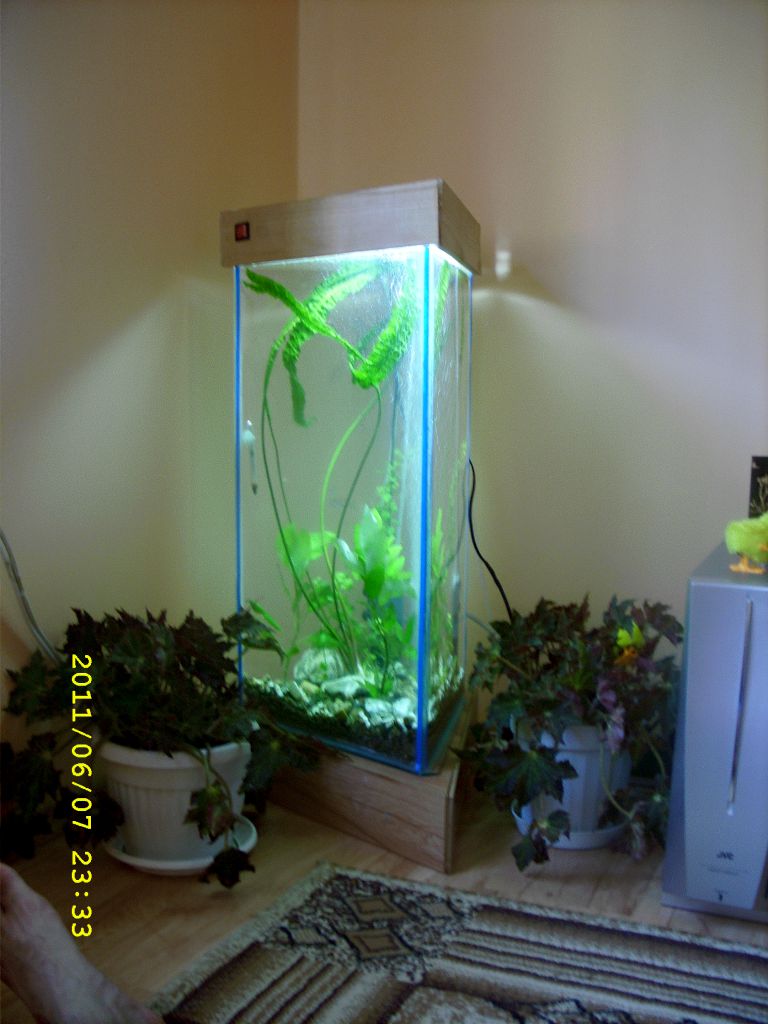 НЕСТАНДАРТЕН 80Л