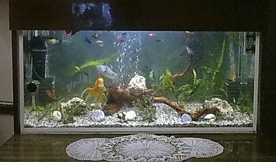 483391 412474165433449 1846651695 n