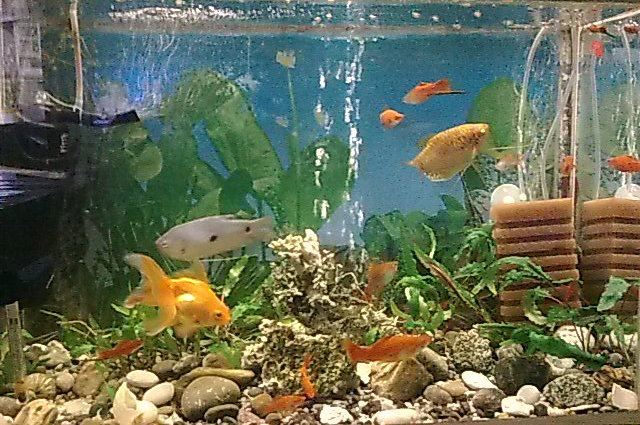 297668 284637221550478 2450904 n