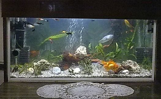 485248 412474098766789 2024072084 n