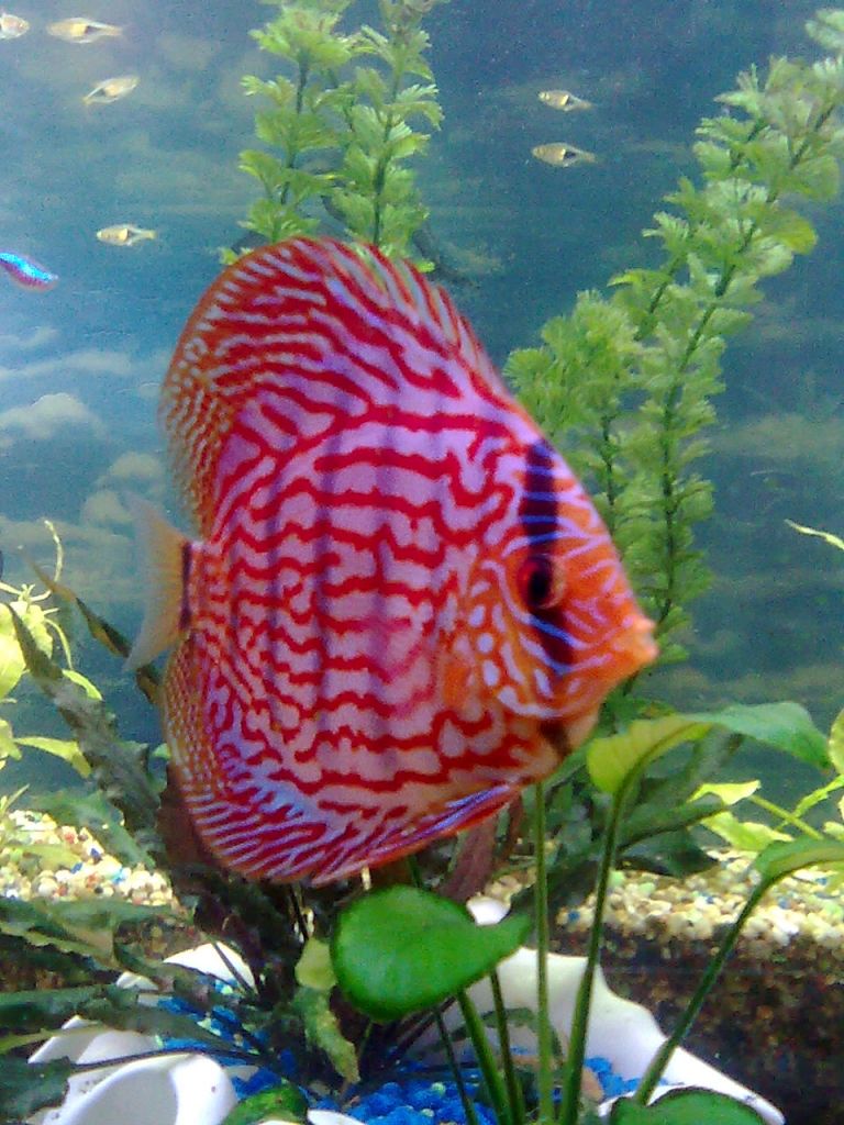 Изображение1793