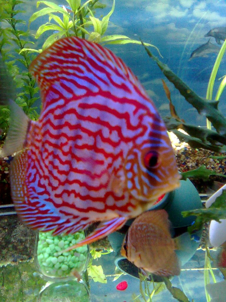 Изображение1667