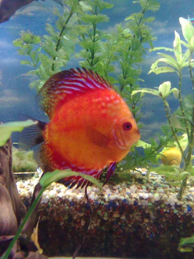 Изображение1727