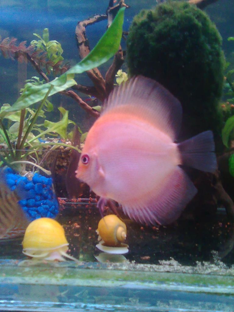 Изображение1742