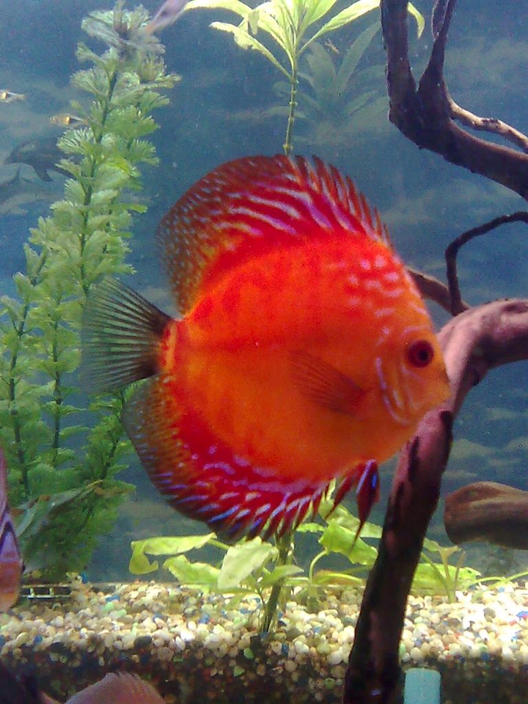 Изображение1795