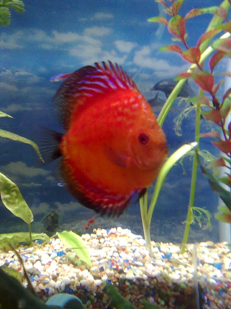 Изображение1681