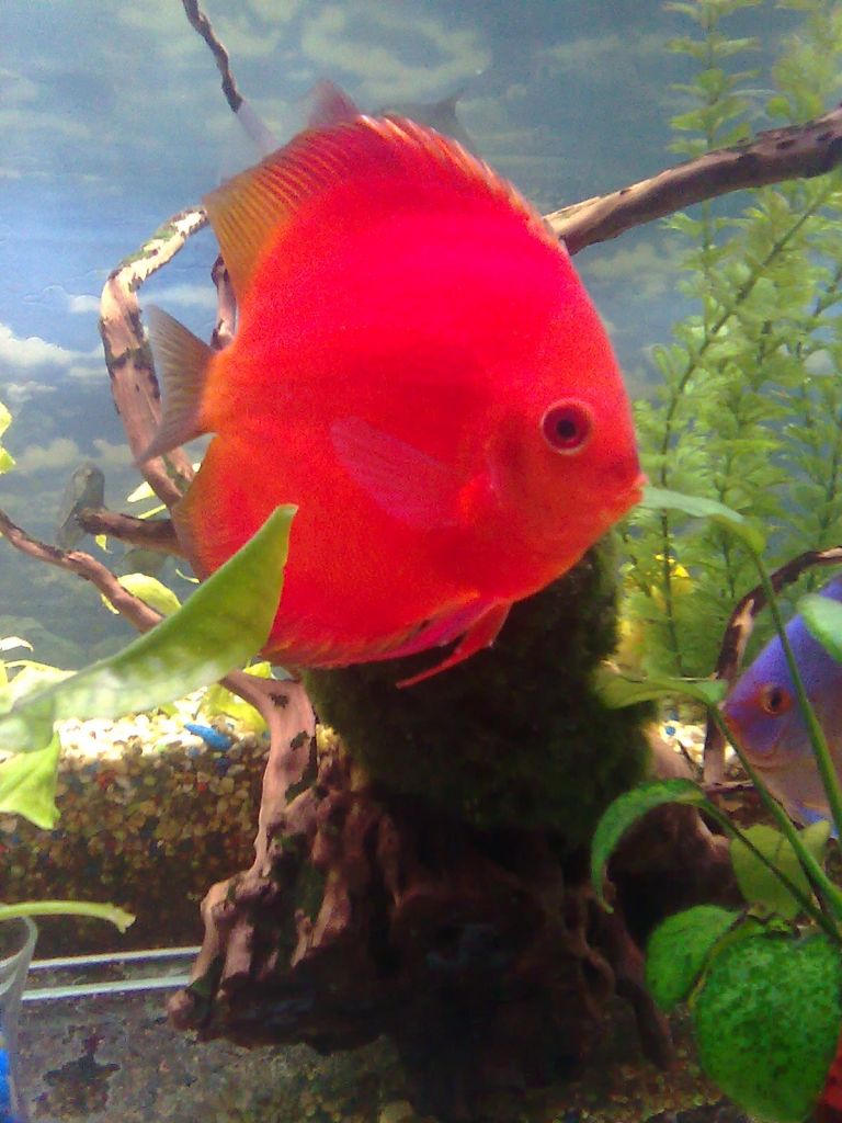 Изображение1723