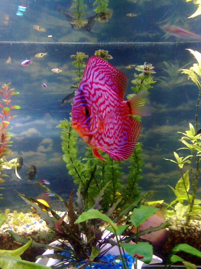 Изображение0026