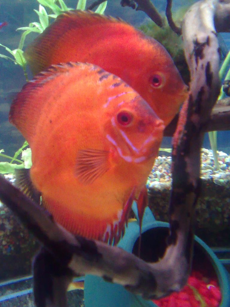 Изображение1776