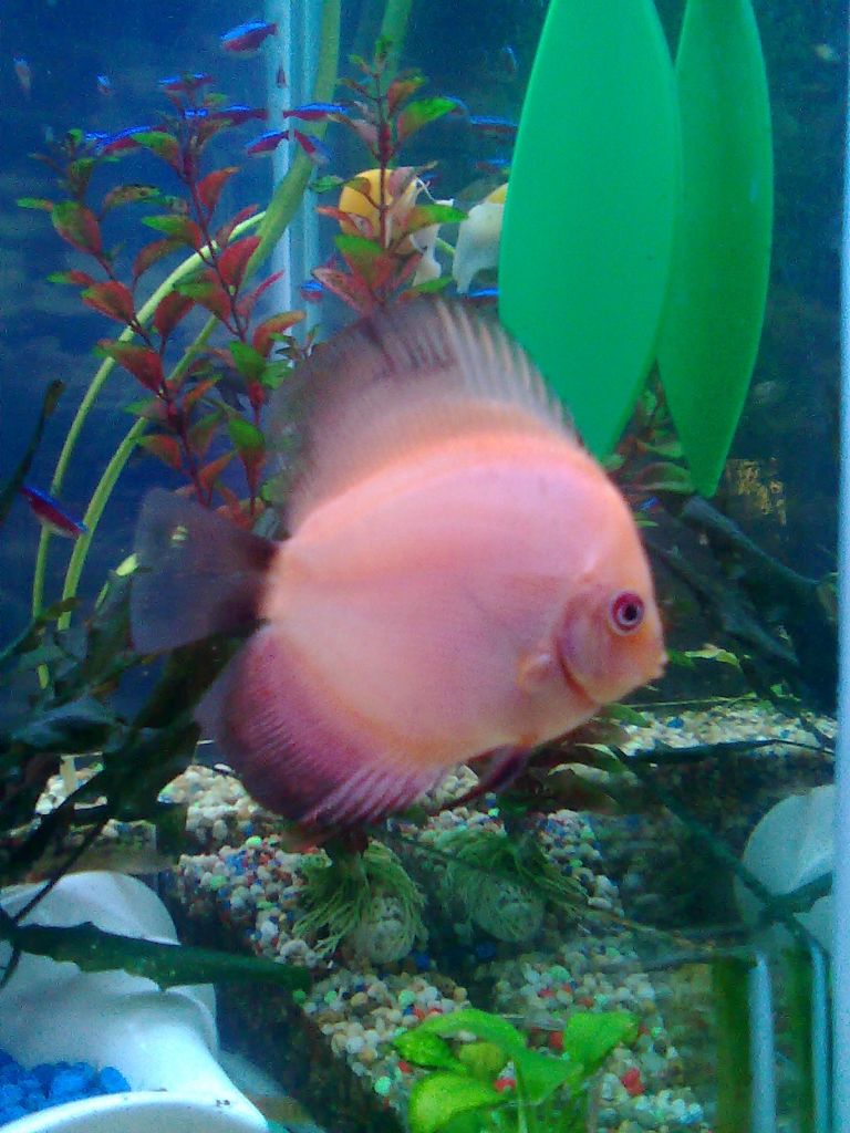 Изображение1749