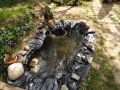 pond