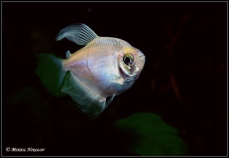 Фото 3