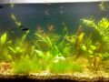 akvarium2