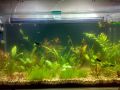 akvarium2