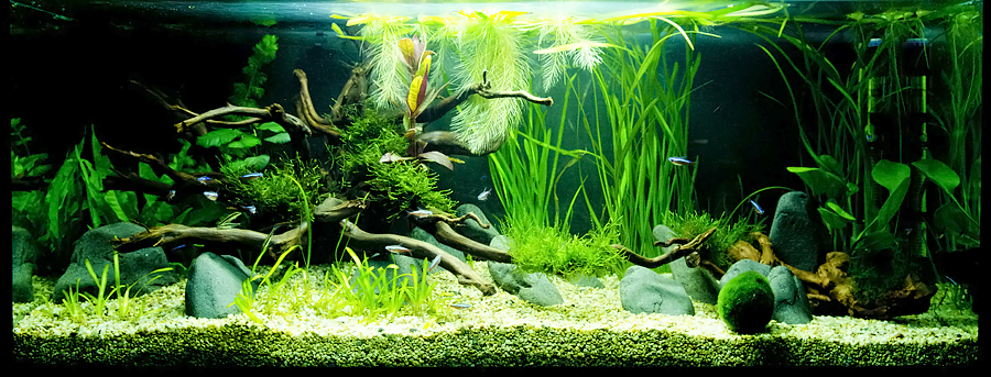 160л. аквариум