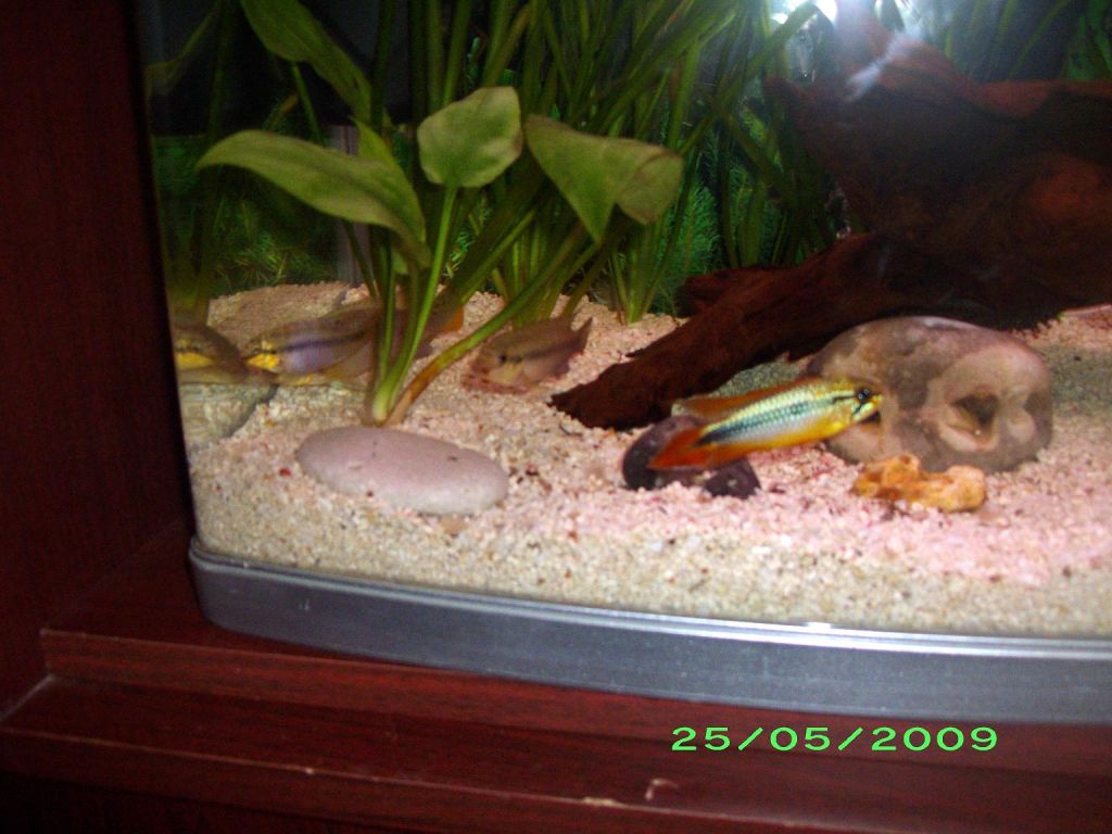 IMGP2002