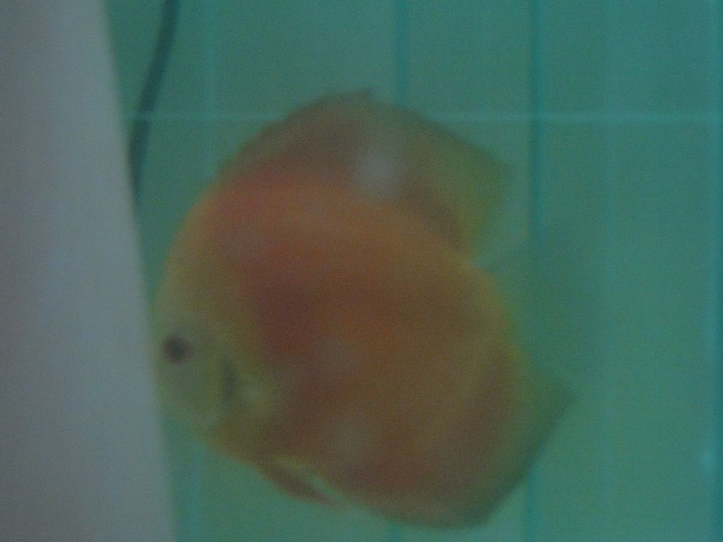 DSC05698