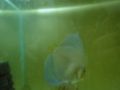 DSC05714
