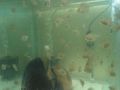 DSC05690