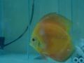 DSC057701