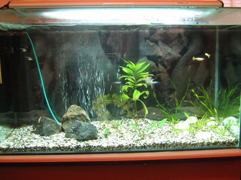 akvarium