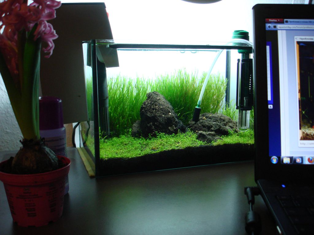 12 литра на бюрото