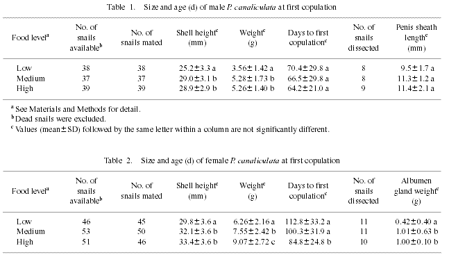first copulation pomacea canaliculata