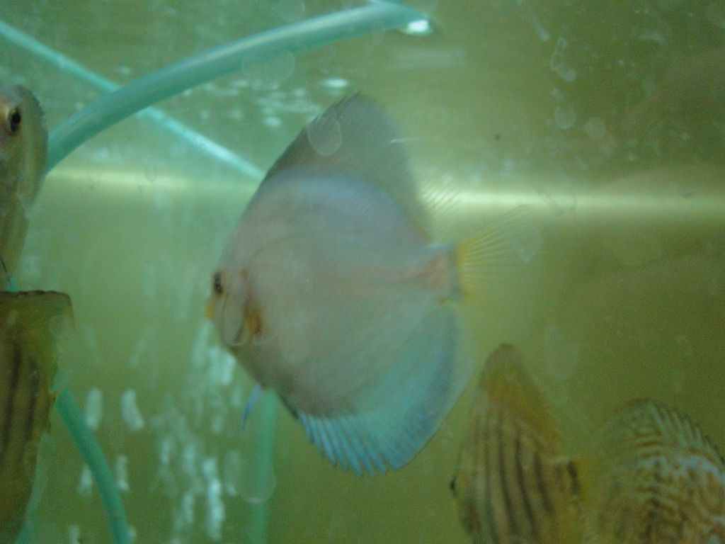 DSC05713