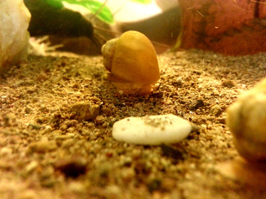20130722 114133