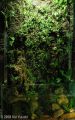 paludarium wall type