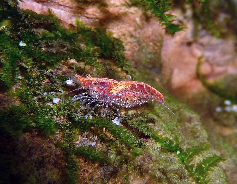 P100061888