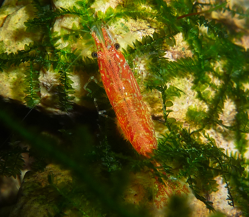 P10001277