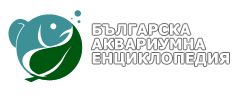 Българска Аквариумна Енциклопедия лого