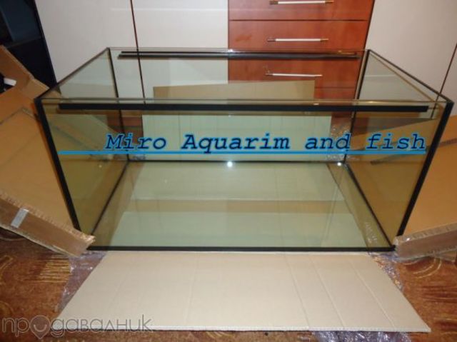 https://aquariumbg.com/forum/proxy.php?request=http%3A%2F%2Fs21.postimg.cc%2Fqlp87attz%2F33414877_1_585x461.jpg&hash=e46396af726469be4515e6ab5863a6d0eac9ecc6