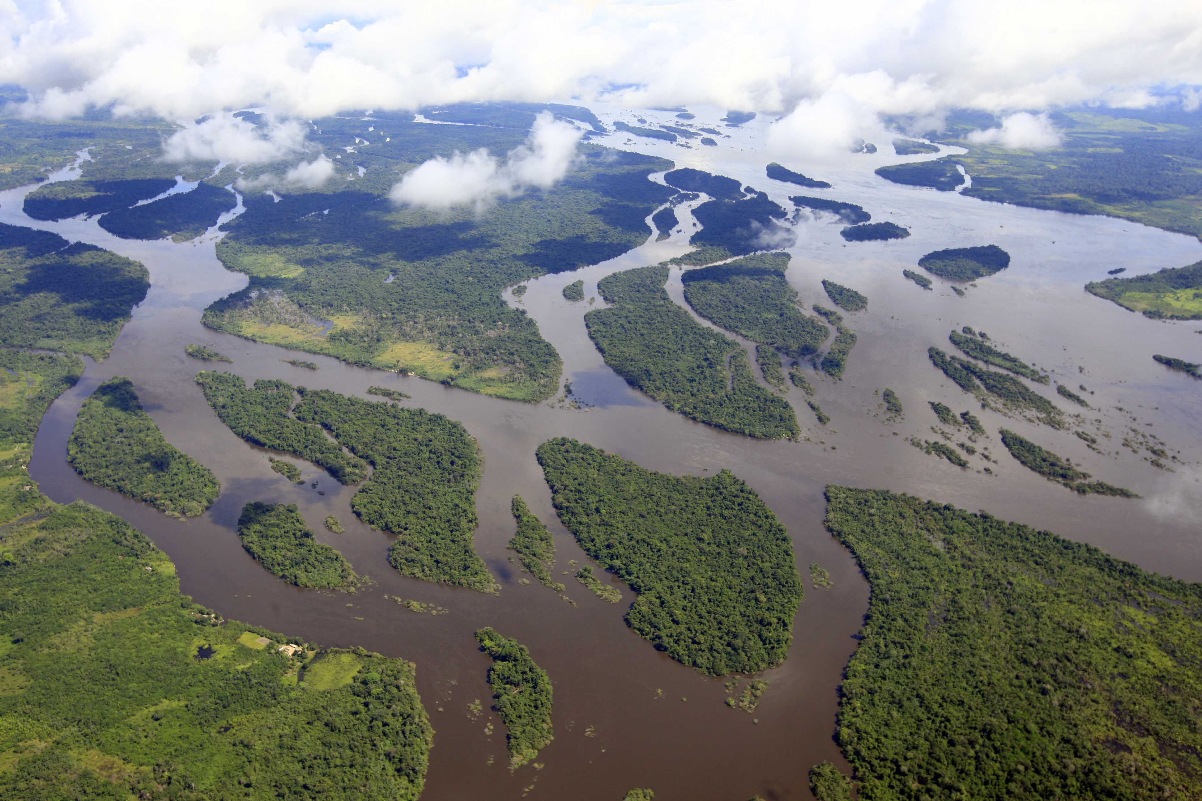 Самый полноводный приток. Укаяли Исток. Река Амазонка. Река Мараньон. Мараньон и Укаяли.
